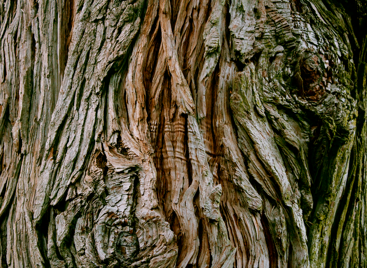 Cedar-wood-inrfared-sauna
