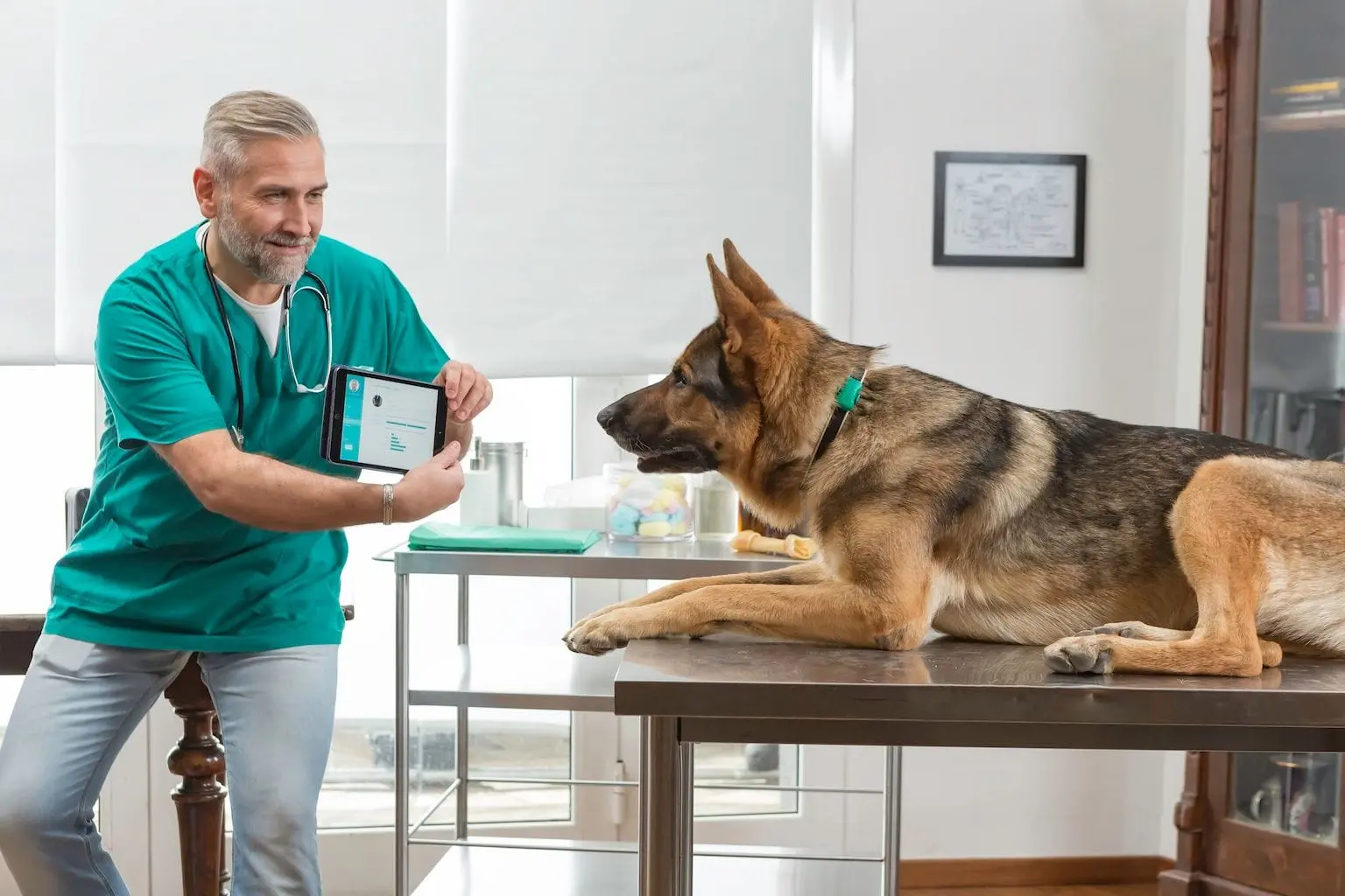 By the courtesy of FitBark: Veterinarian holding a tablet showing activity data to a German Shepherd or its owner By the courtesy of FitBark: Veterinarian holding a tablet showing activity data to a German Shepherd or its owner