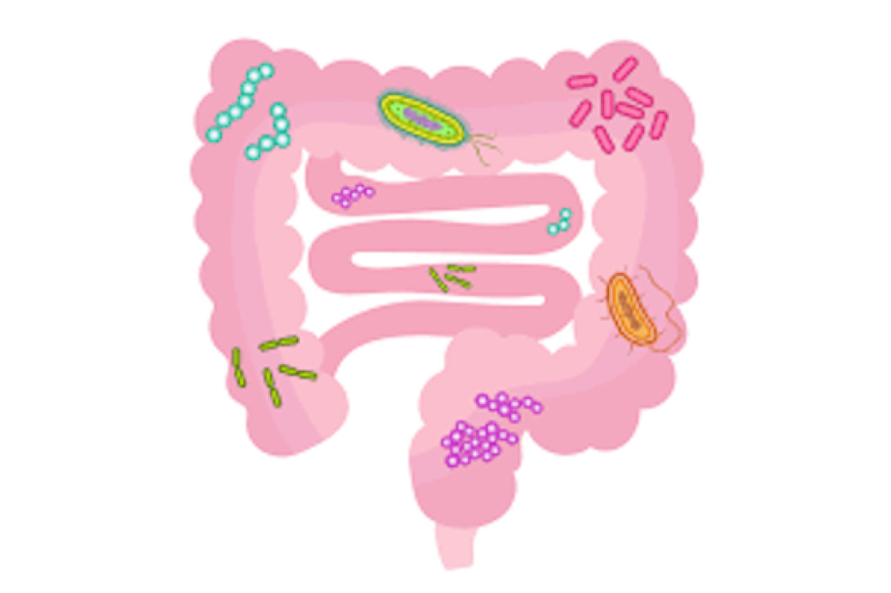 can-infrared-therapy-help-with-digestive-discomforts can-infrared-therapy-help-with-digestive-discomforts