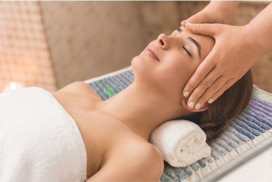 healthyline-infrared-pemf-mat-for-health-practitioners healthyline-infrared-pemf-mat-for-health-practitioners