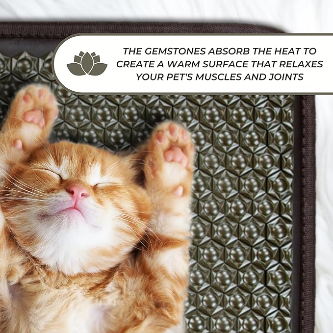 HealthyLine PEMF Mat for cats