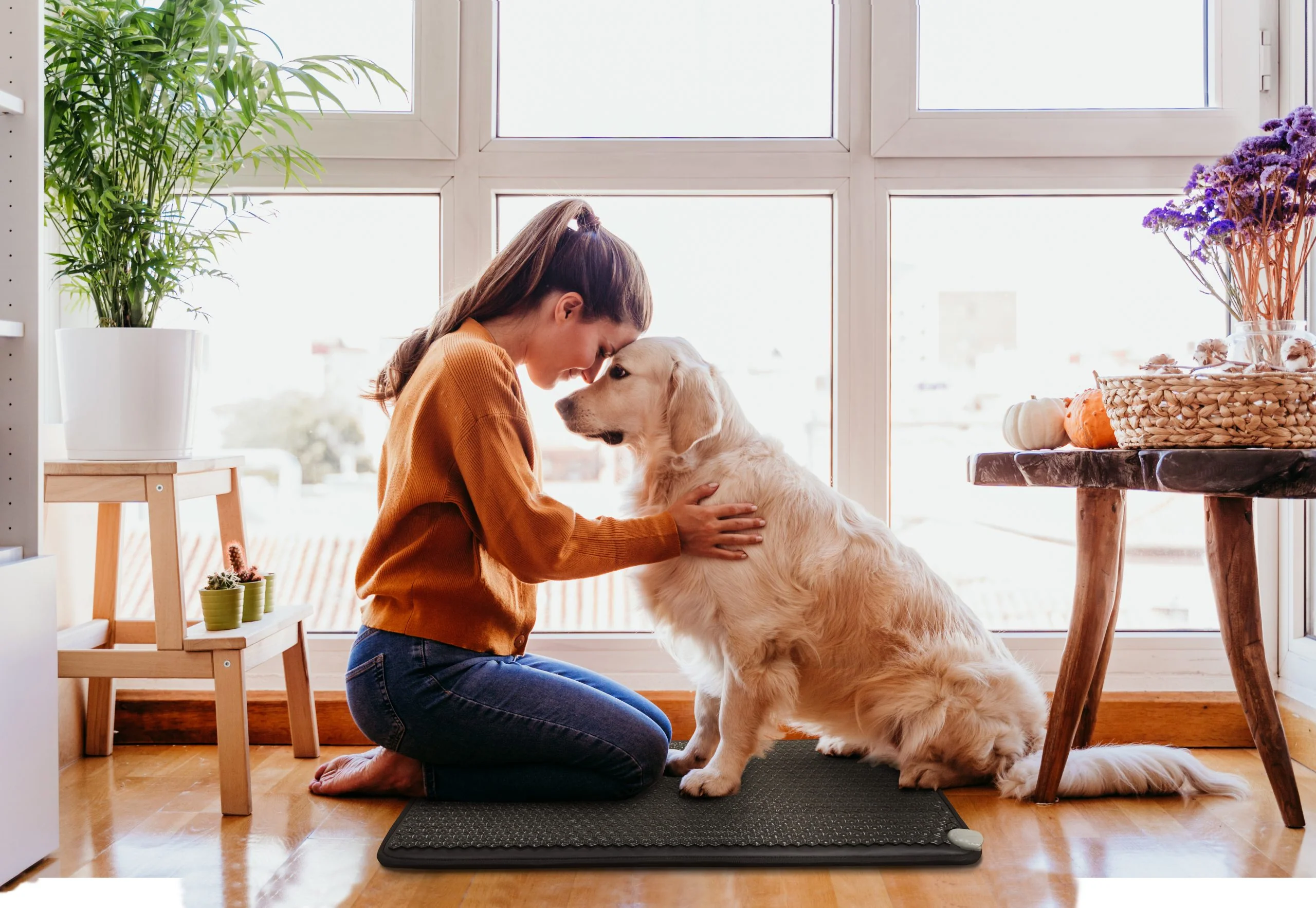 Dog and owner using HealthyLine PEMF mat for dog Dog and owner using HealthyLine PEMF mat for dog
