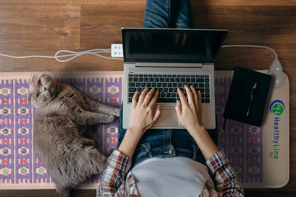 cat sitting on HealthyLine TAJ PEMF mat next to woman working on laptop cat sitting on HealthyLine TAJ PEMF mat next to woman working on laptop