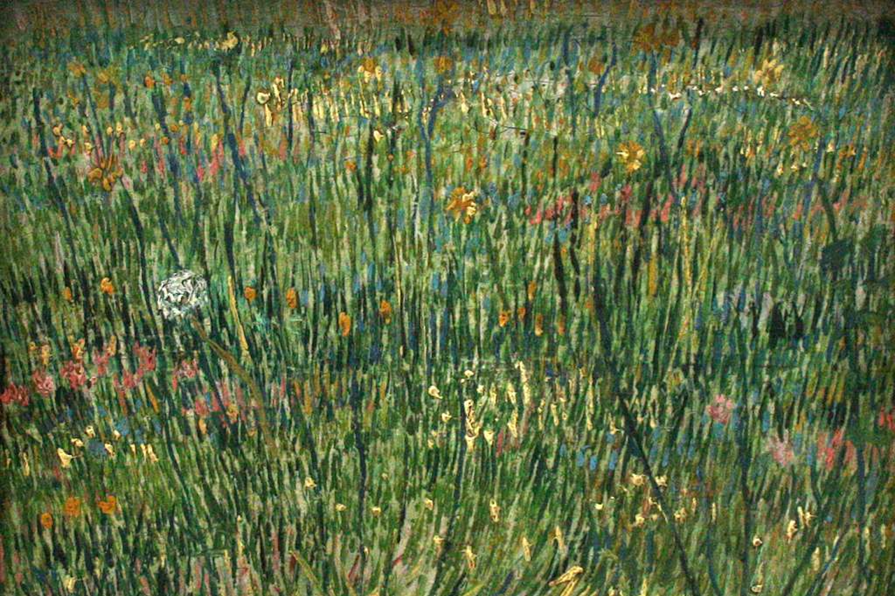 infrared-reflectography