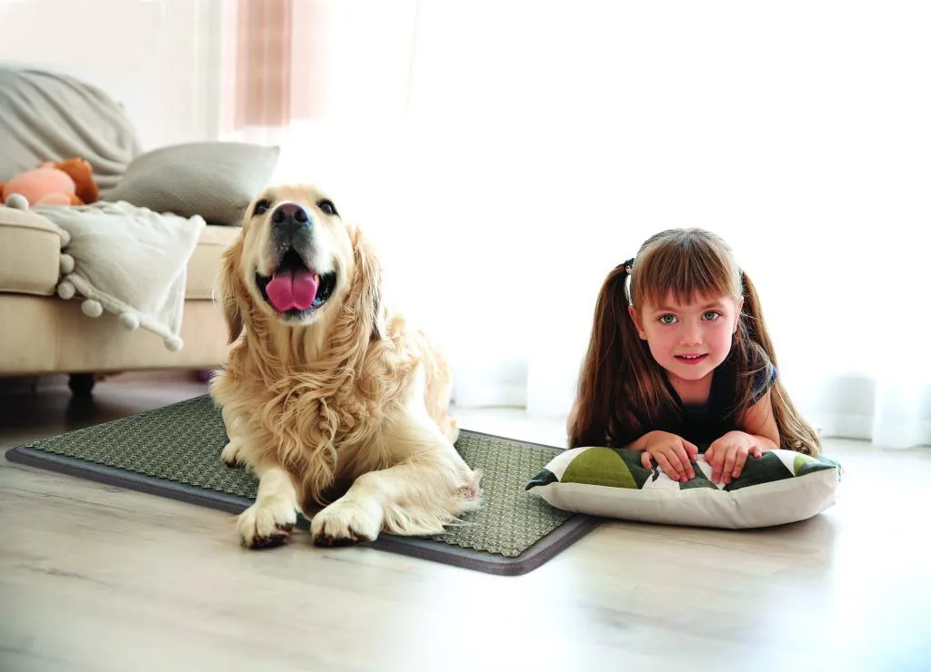 pemf-mat-therapy-for-dogs