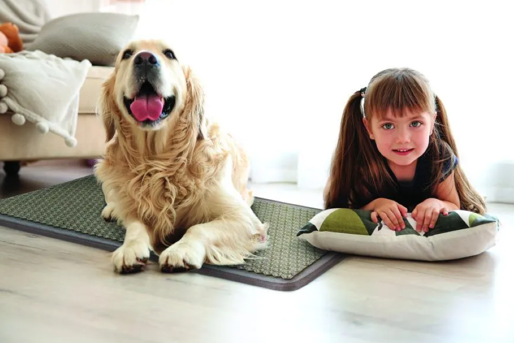 Labrador dog on PEMF therapy mat with young girl sitting beside Labrador dog on PEMF therapy mat with young girl sitting beside