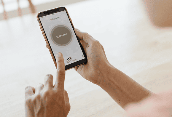 App-controlled PEMF device settings App-controlled PEMF device settings