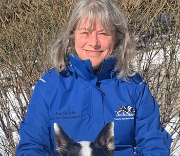 petspemf-tania-costa petspemf-tania-costa