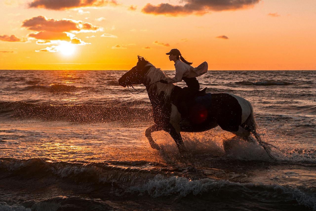 Wendy Claytor of Pulseworx riding horse at sunset Wendy Claytor of Pulseworx riding horse at sunset